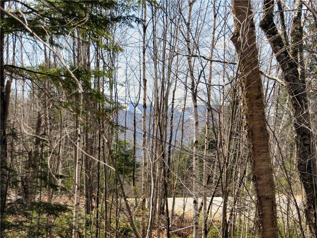 Lot 76 Douglas Road Newry, ME 04261 - Photo 3 of 14 Looking SW to Sunday River