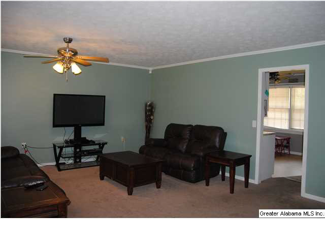 5140 Nisbet Lake Road Jacksonville, AL 36265 - Photo 4 of 26