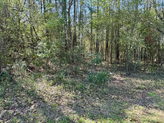 $230,000 | 0 Washington Klein Street, Walterboro, SC 29488