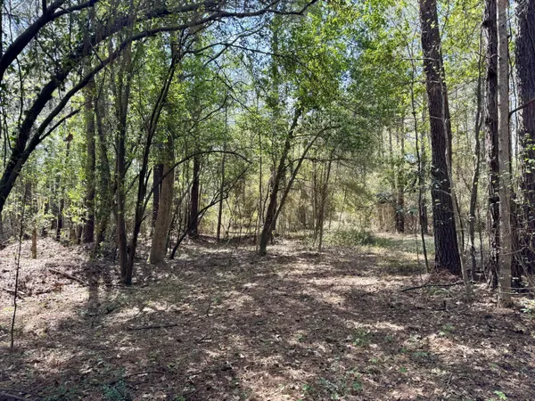 $199,000 | 0 Washington Klein Street, Walterboro, SC 29488