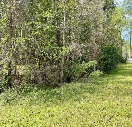 $230,000 | 0 Washington Klein Street, Walterboro, SC 29488