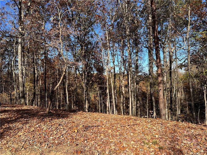 108 Adair Drive Ranger, GA 30734 - Photo 2 of 55