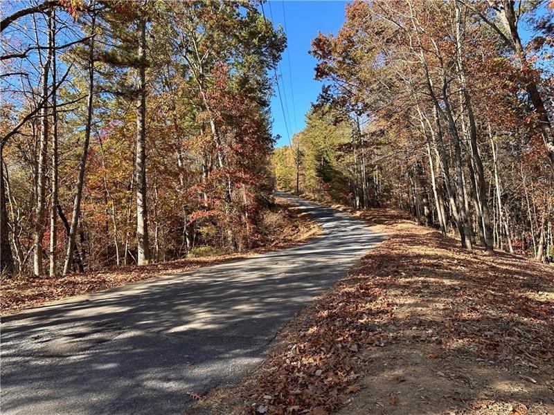 108 Adair Drive Ranger, GA 30734 - Photo 3 of 55