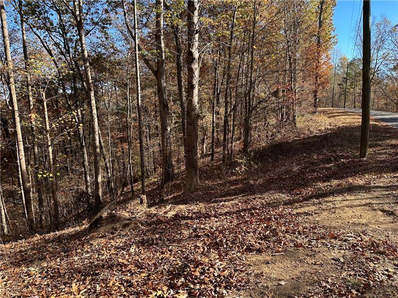 108 Adair Drive Ranger, GA 30734 - Photo 4 of 55