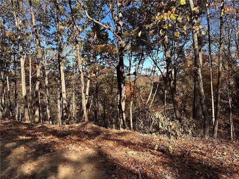 108 Adair Drive Ranger, GA 30734 - Photo 5 of 55