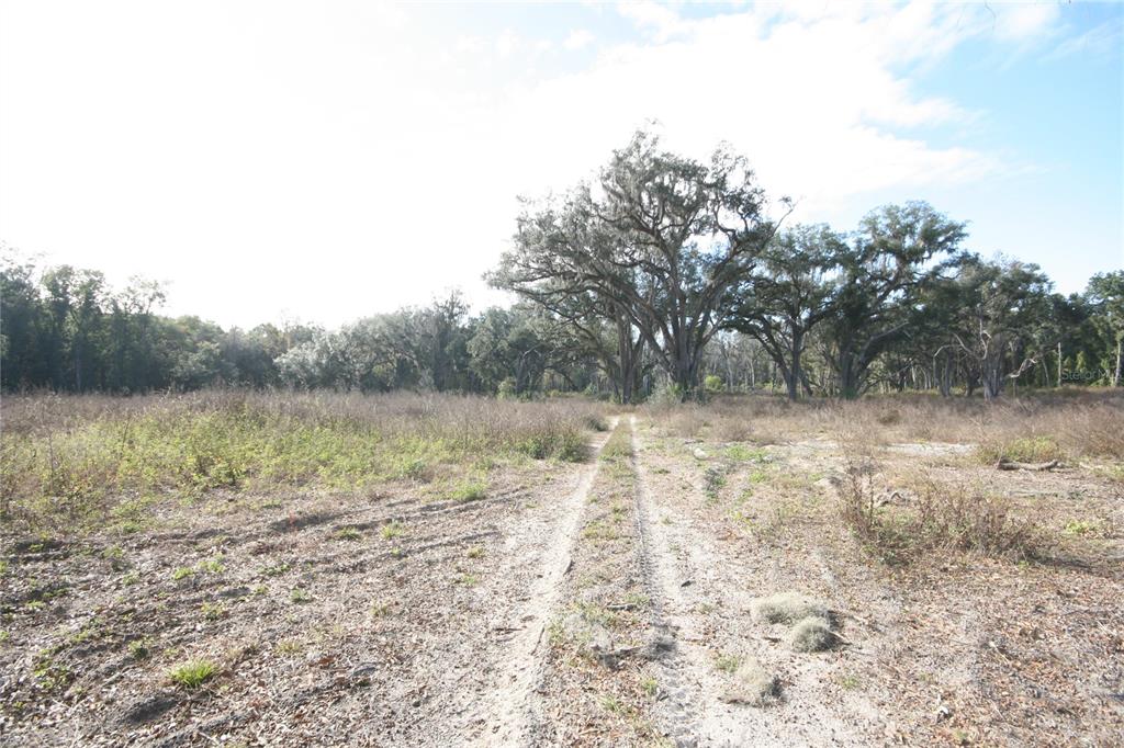 301 Tbd Citra, FL 32113 - Photo 34 of 34