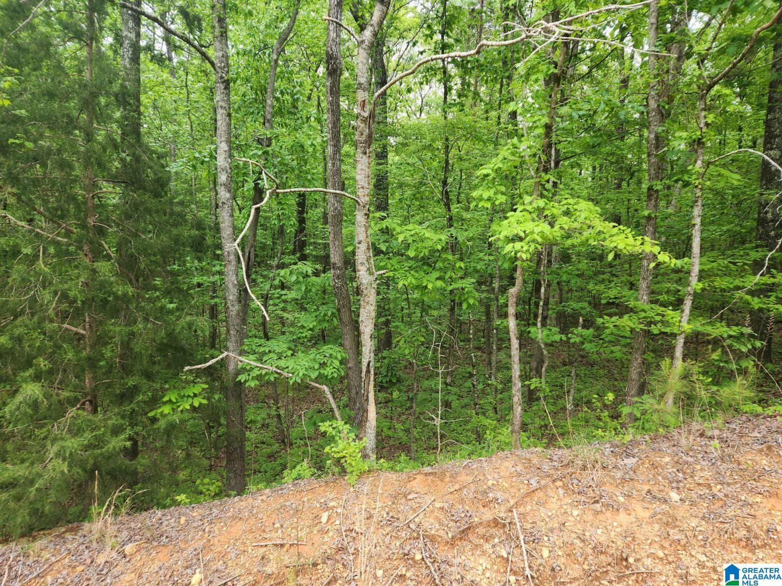 0 Deer Chase Road, Unit 20 ACRES McCalla, AL 35111 - Photo 1 of 1