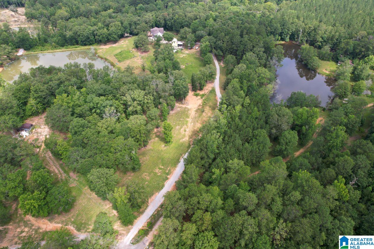 131 Lake Cottage Road Sterrett, AL 35147 - Photo 56 of 64