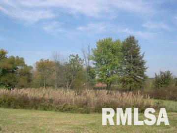 2071 County Farm Road Kell, IL 62853 - Photo 4 of 6