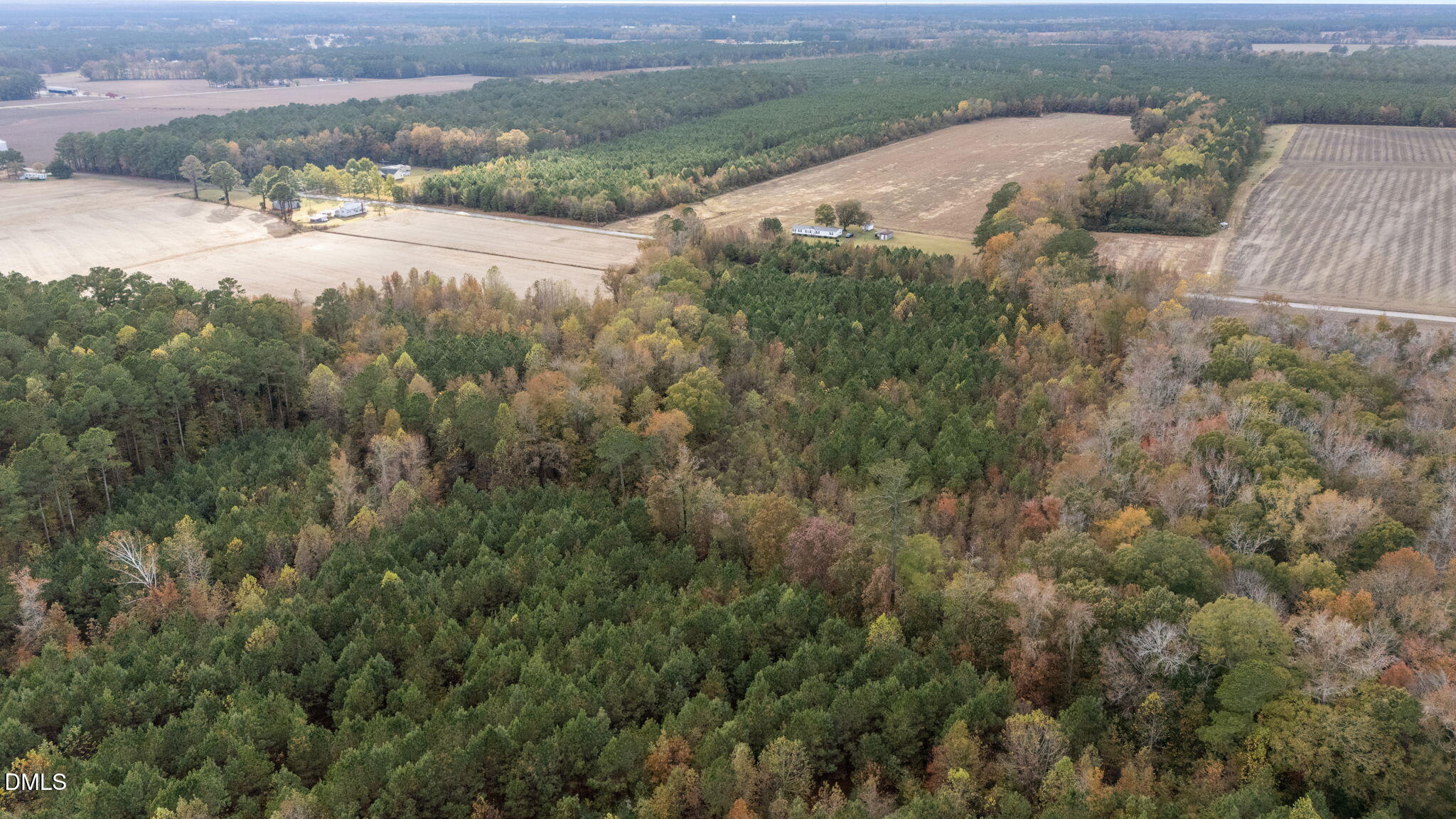0 Sheppard Mill Road Stokes, NC 27884 - Photo 6 of 7 7-web-or-mls-DJI_20251103150918_0566_D