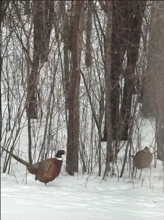 $364,900 | 308 17th Avenue South, Cold Spring, MN 56320