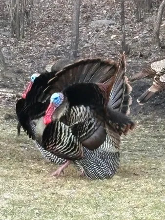 $364,900 | 308 17th Avenue South, Cold Spring, MN 56320