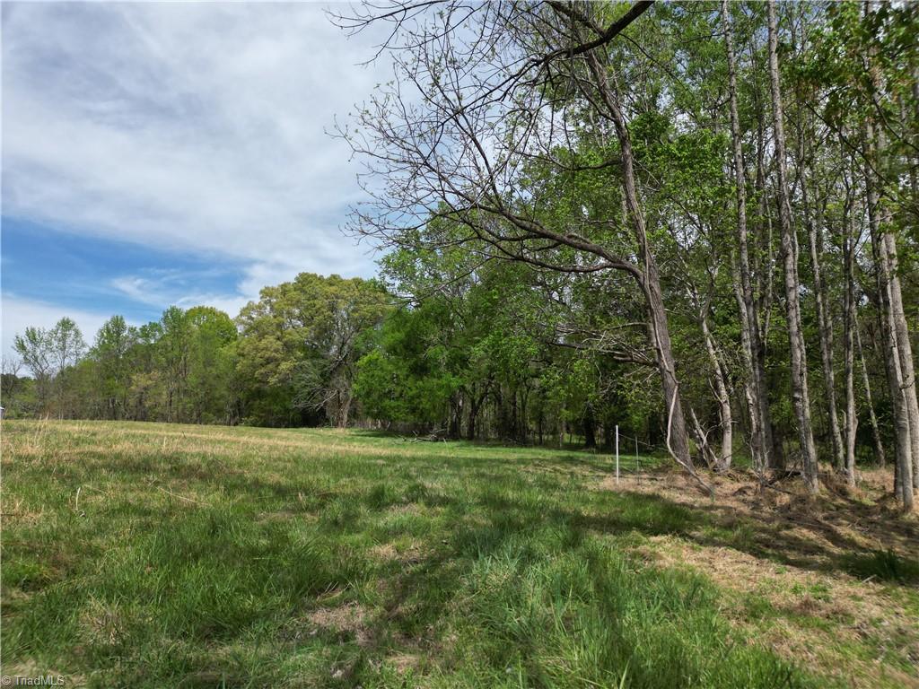 0 Nc Highway South Denton, NC 27239 - Photo 1 of 40