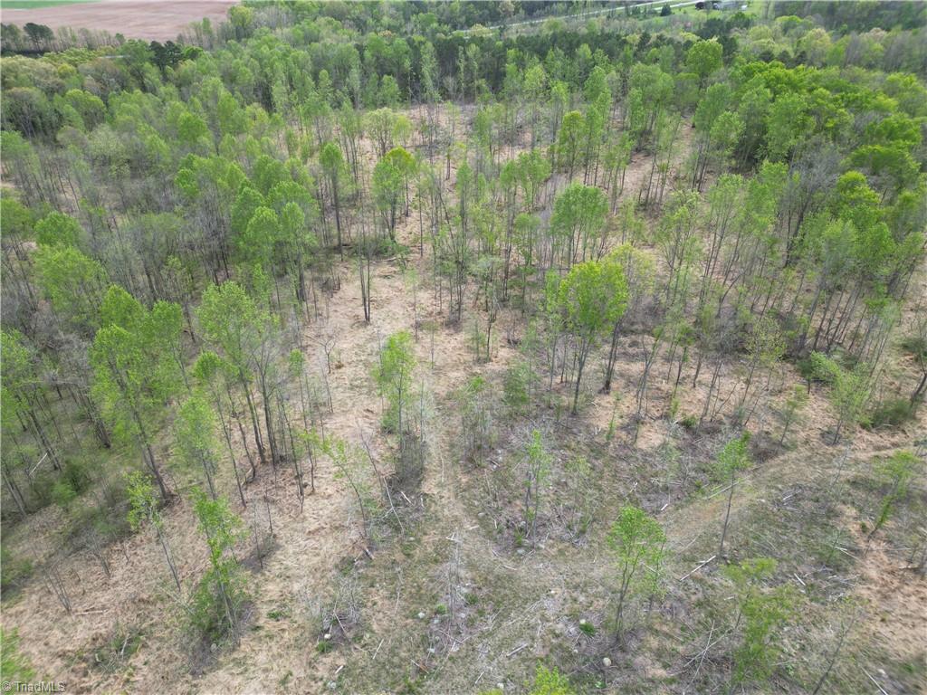 0 Nc Highway South Denton, NC 27239 - Photo 14 of 40