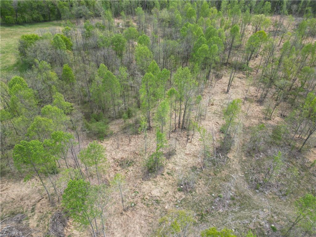 0 Nc Highway South Denton, NC 27239 - Photo 25 of 40