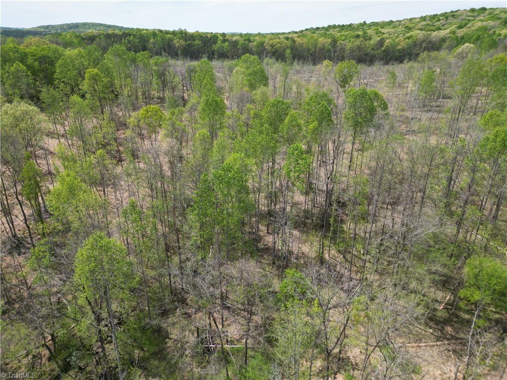 0 Nc Highway South Denton, NC 27239 - Photo 27 of 40
