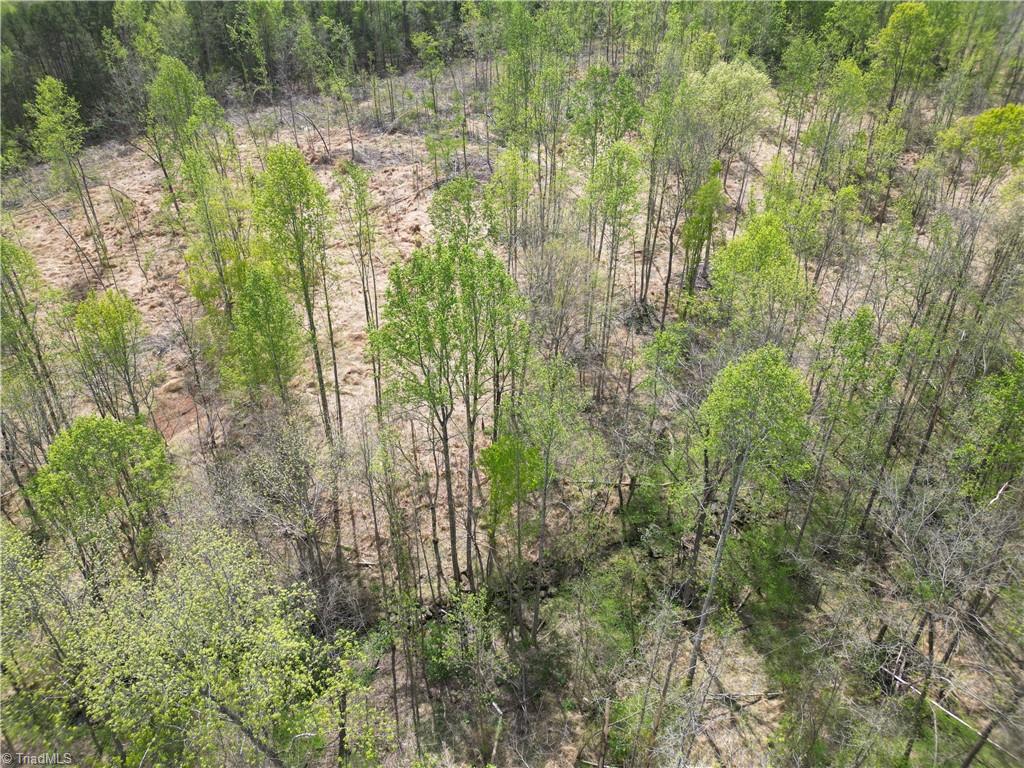 0 Nc Highway South Denton, NC 27239 - Photo 28 of 40