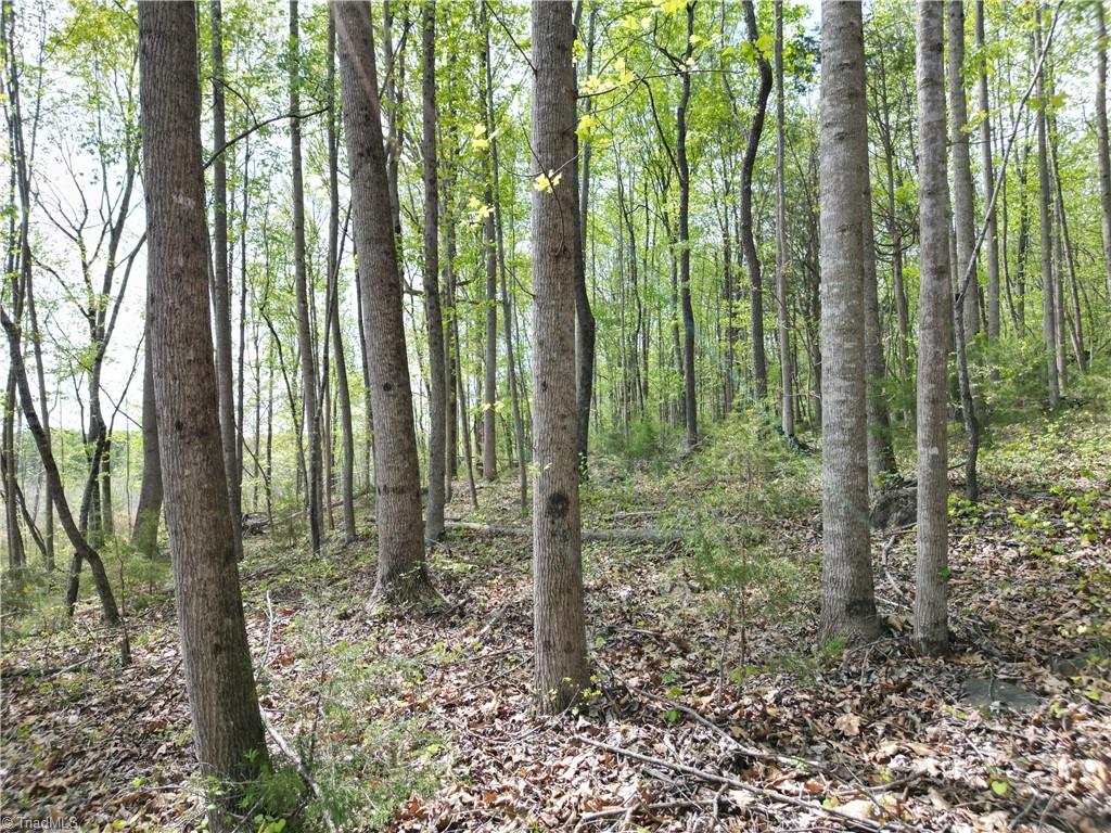 0 Nc Highway South Denton, NC 27239 - Photo 29 of 40