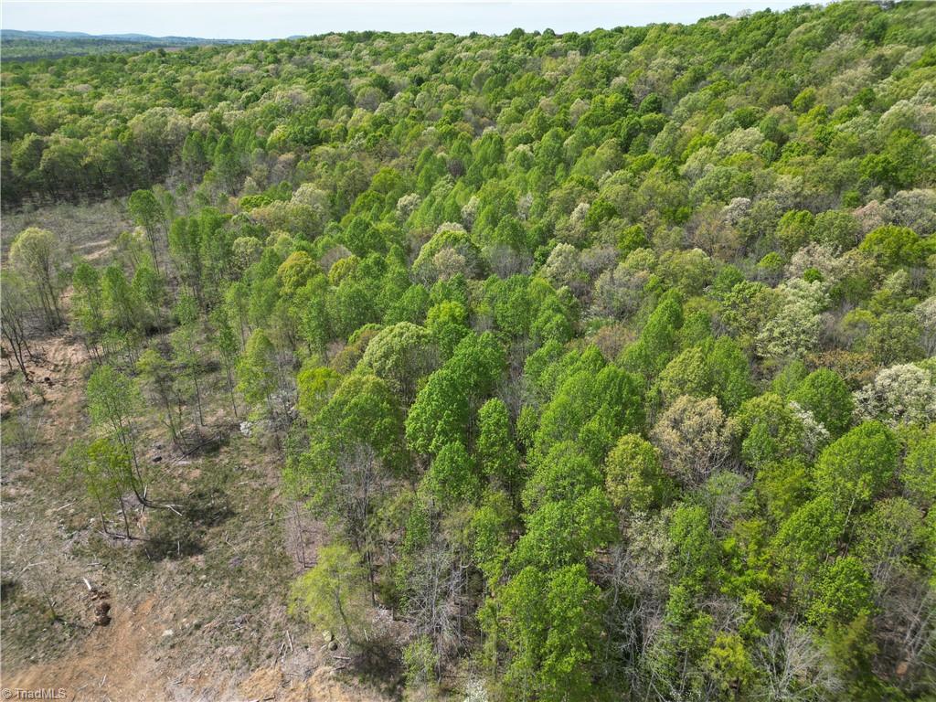 0 Nc Highway South Denton, NC 27239 - Photo 33 of 40