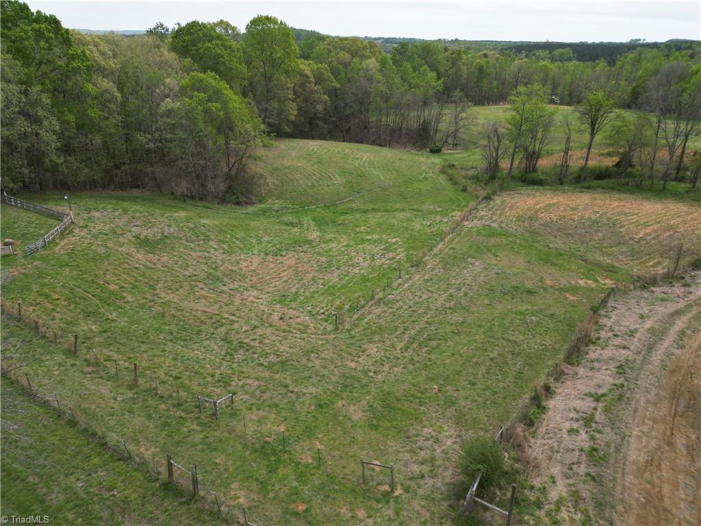 0 Nc Highway South Denton, NC 27239 - Photo 4 of 40