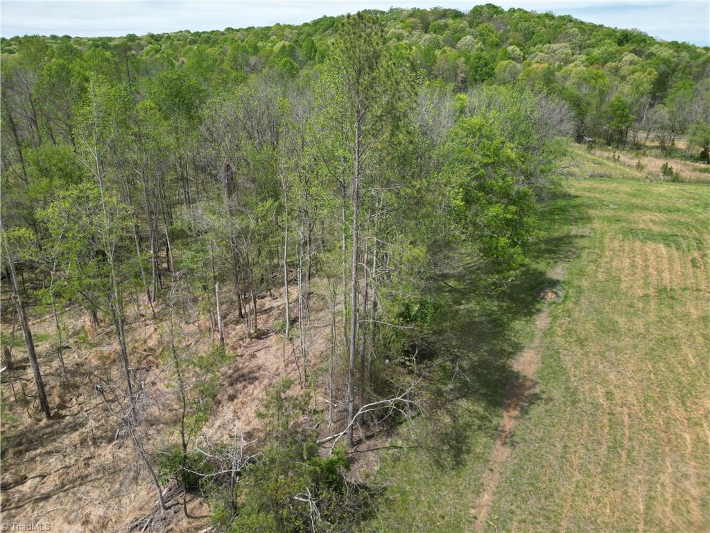 0 Nc Highway South Denton, NC 27239 - Photo 7 of 40