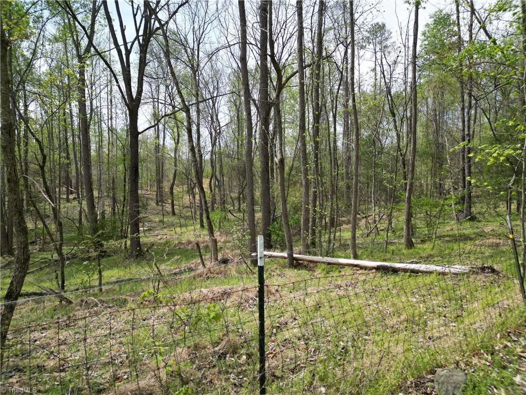 0 Nc Highway South Denton, NC 27239 - Photo 10 of 40