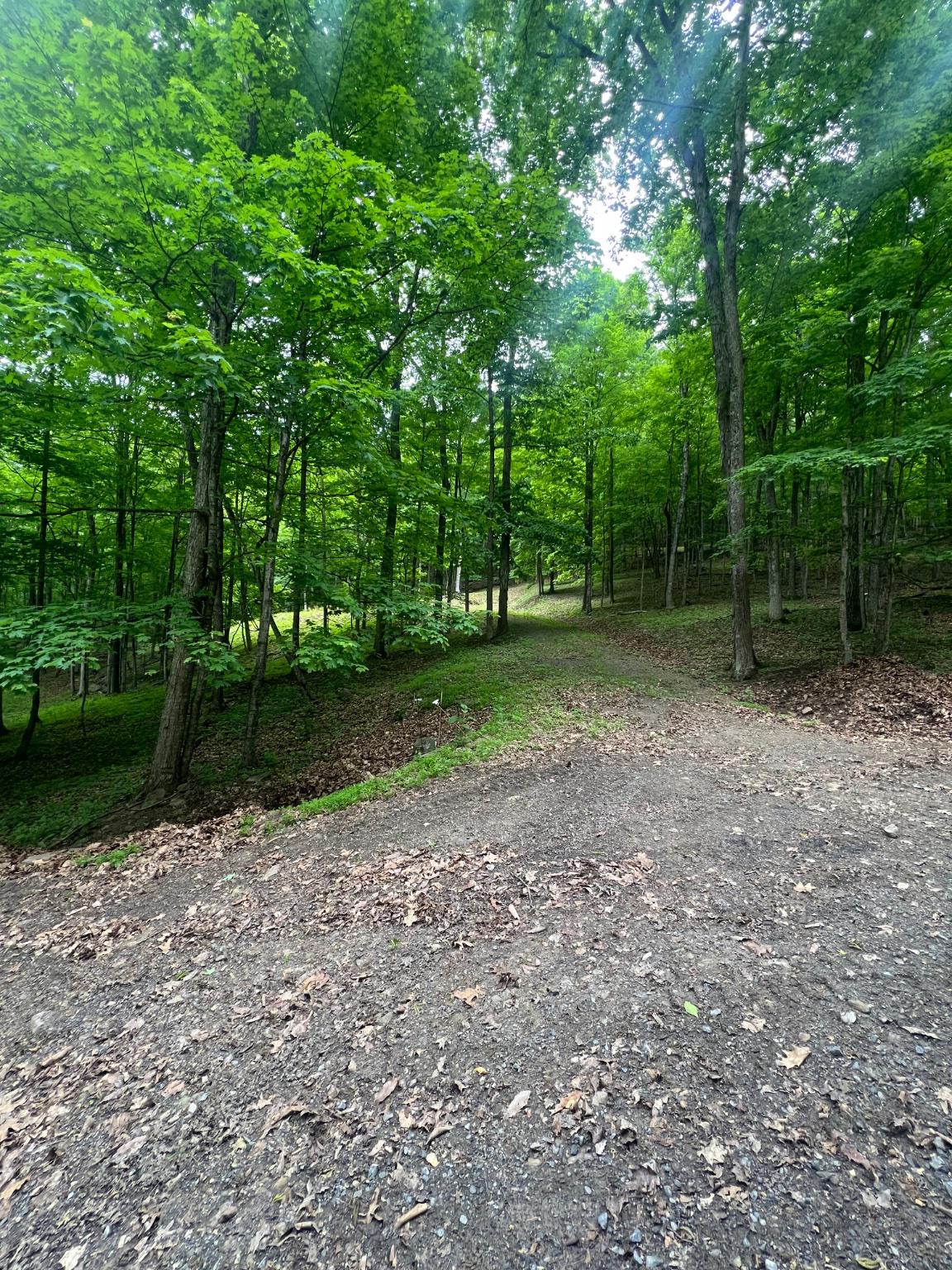 Edgar Lane Upper Tract, WV 26866 - Photo 19 of 22 Private roadway access within the development.