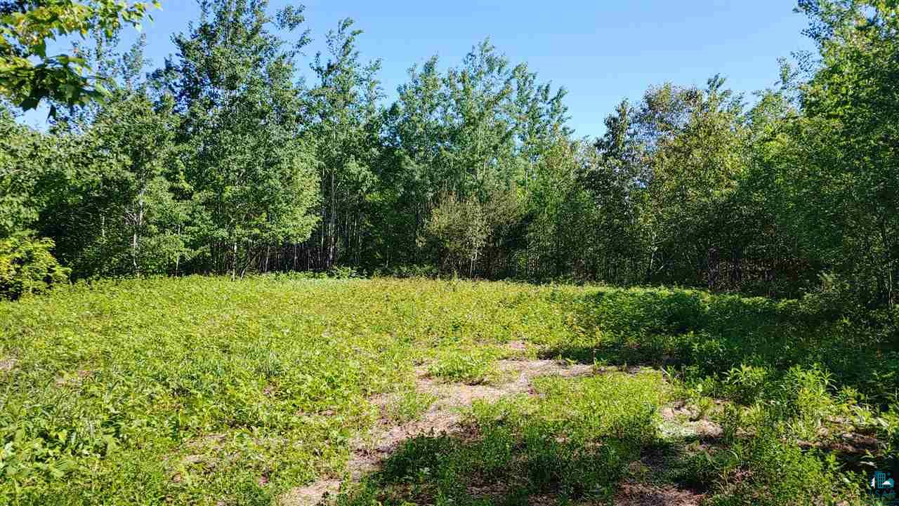 Xx30 Orr-Buyck Road Orr, MN 55771 - Photo 3 of 31 Gallery Image 3