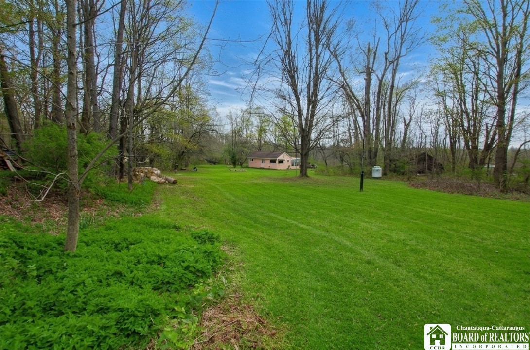 876 Swede Road Harmony, NY 14767 - Photo 3 of 25