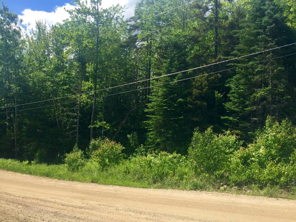 Lot 59 Ridge Road Intervale, NH 03845 - Photo 1 of 10