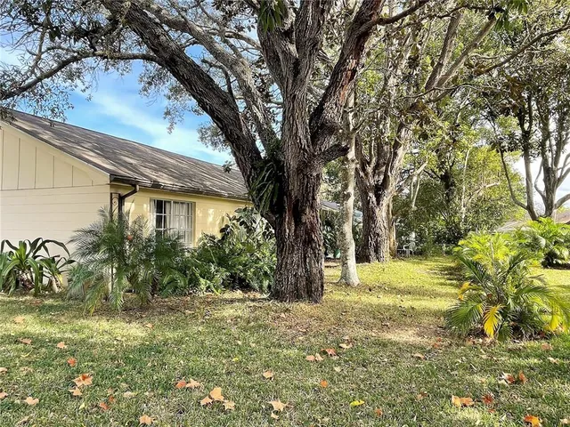 a view of a yard with plants and trees