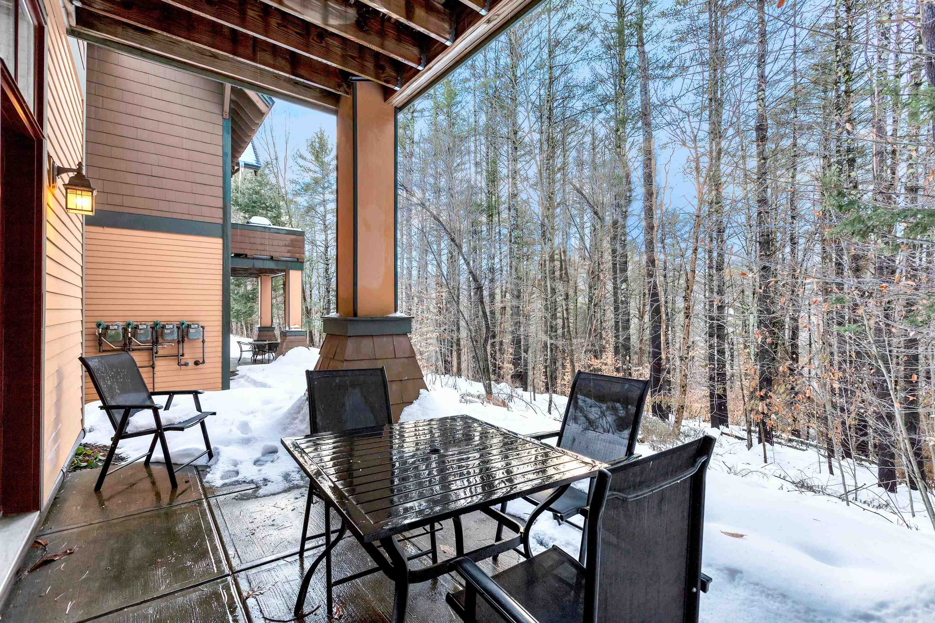 45 Carriage Lane, Unit D3 Cavendish, VT 05153 - Photo 29 of 40