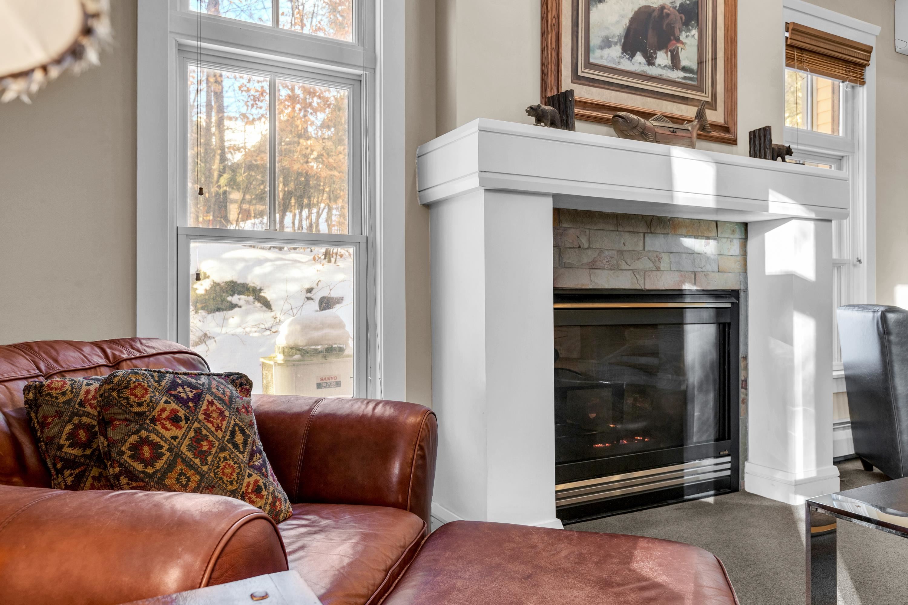 45 Carriage Lane, Unit D3 Cavendish, VT 05153 - Photo 3 of 40