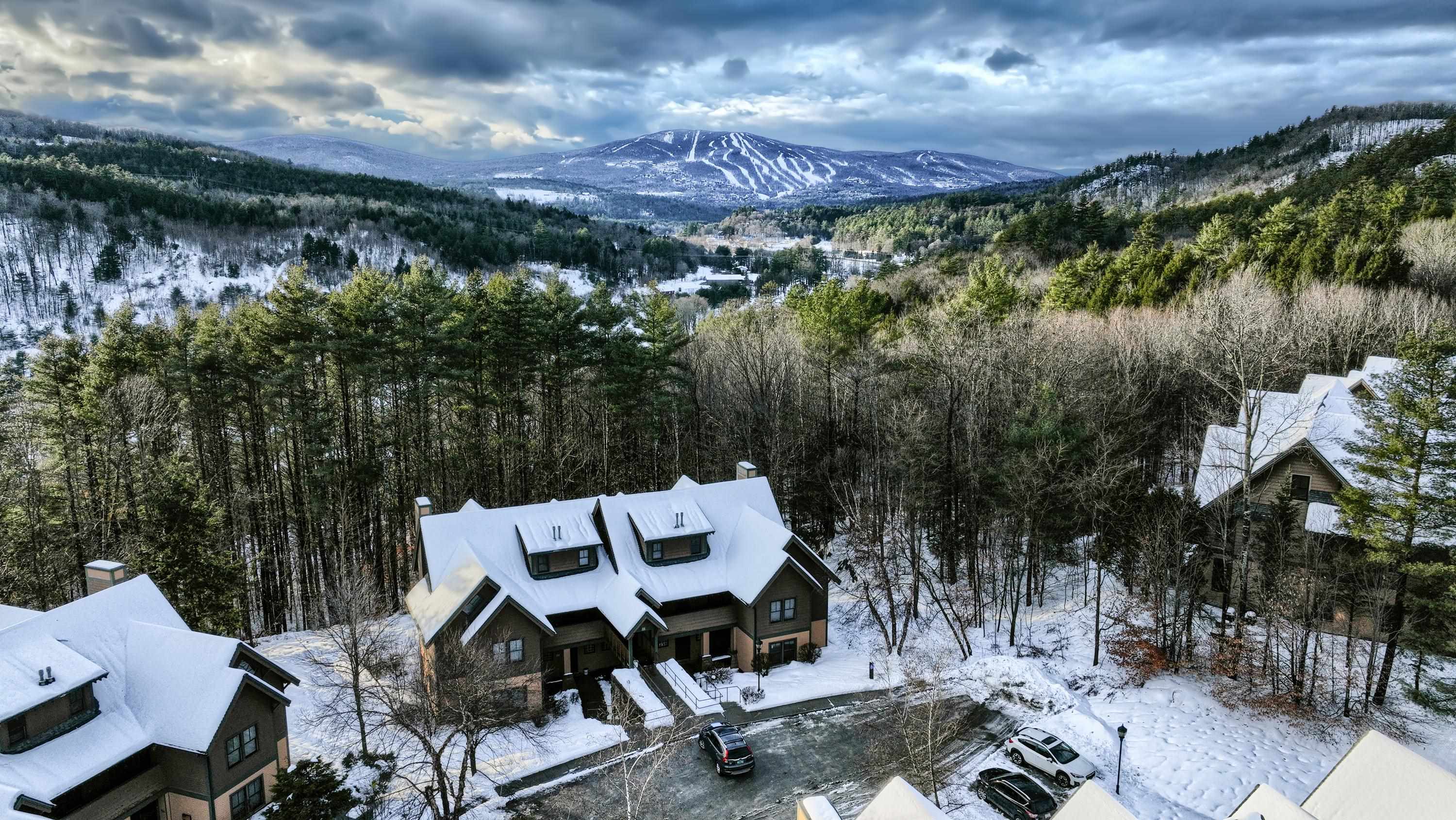 45 Carriage Lane, Unit D3 Cavendish, VT 05153 - Photo 31 of 40