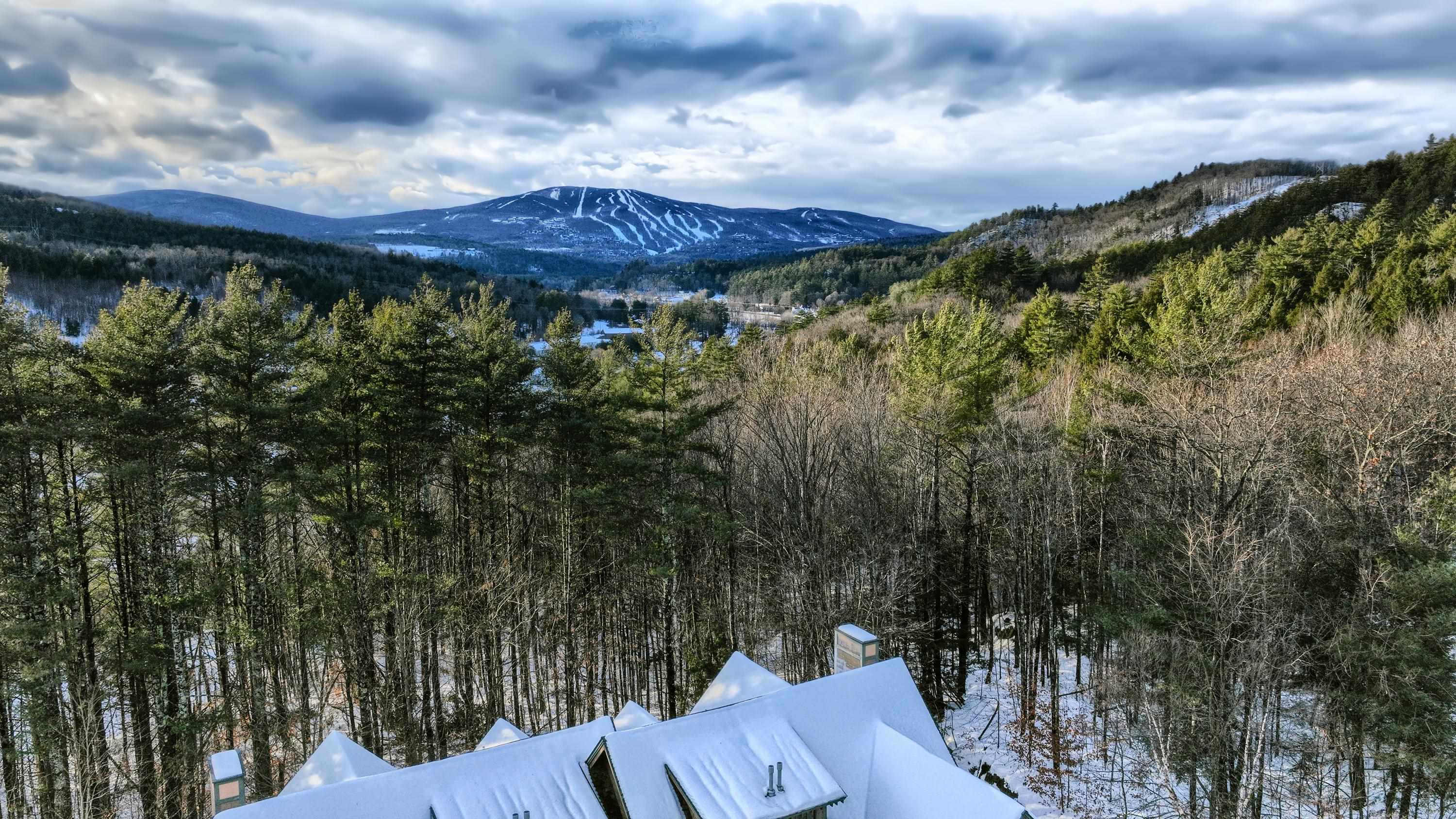 45 Carriage Lane, Unit D3 Cavendish, VT 05153 - Photo 32 of 40