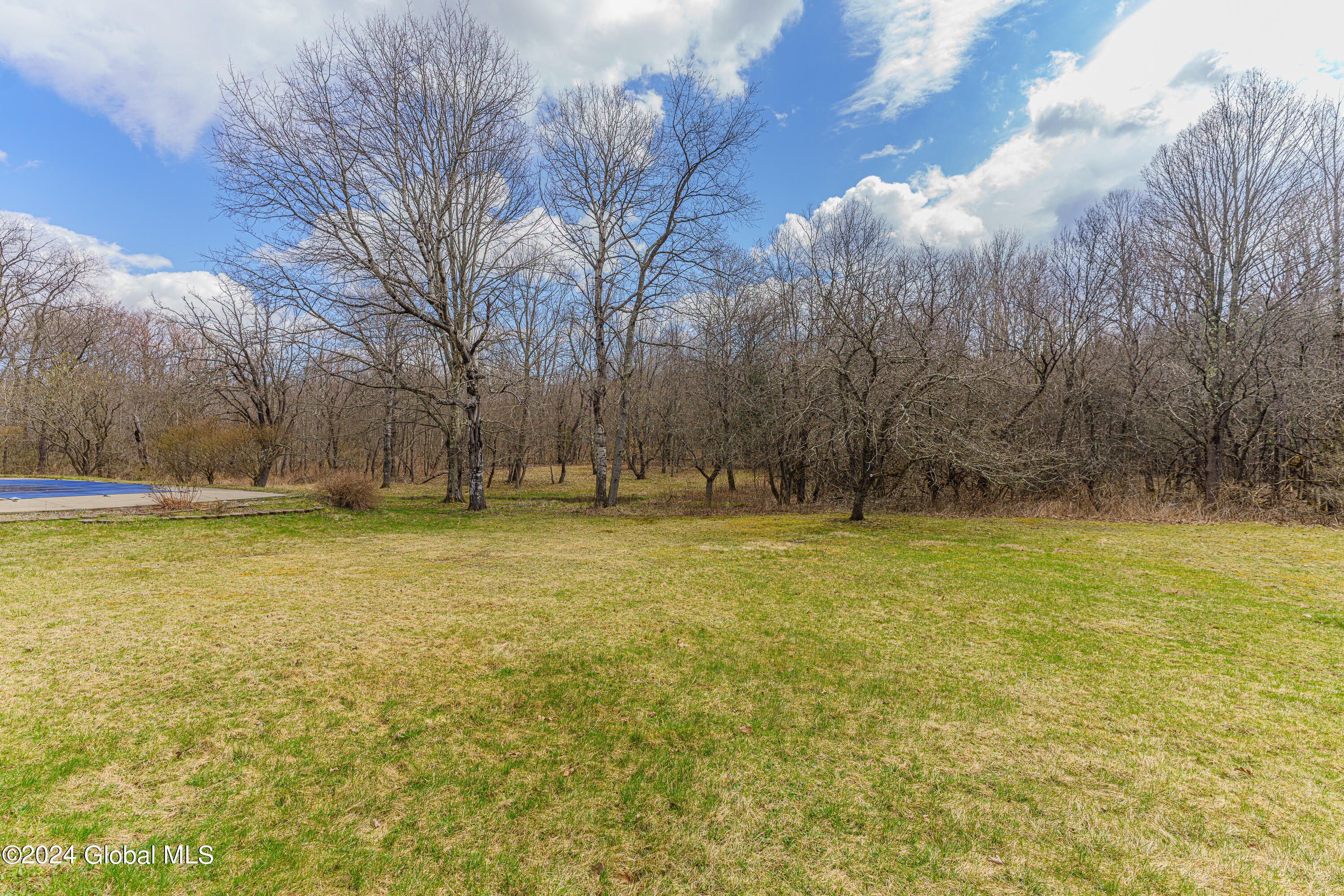 106 Flood Road Westerlo, NY 12193 - Photo 43 of 55 Yard 5