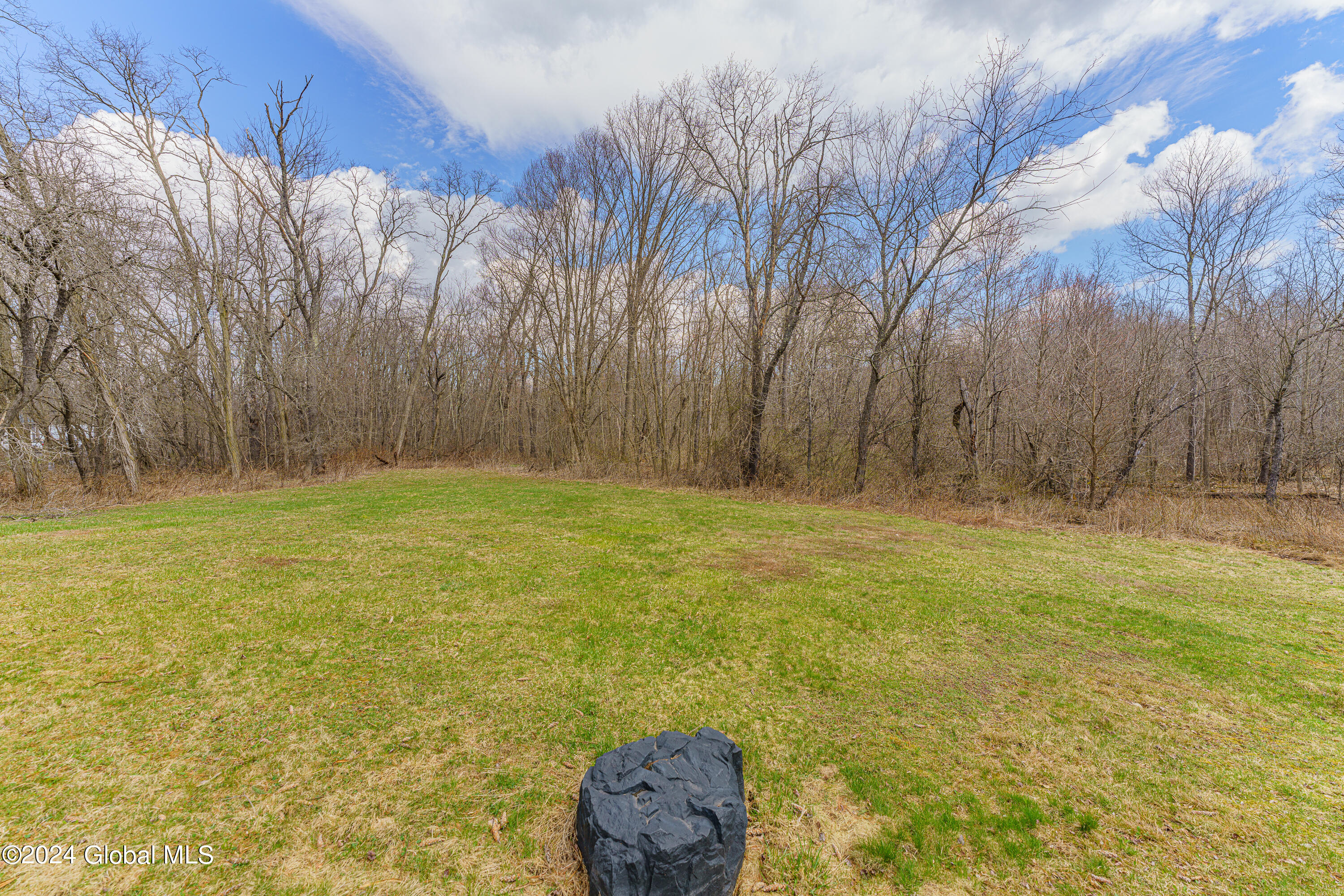 106 Flood Road Westerlo, NY 12193 - Photo 44 of 55 Yard 6