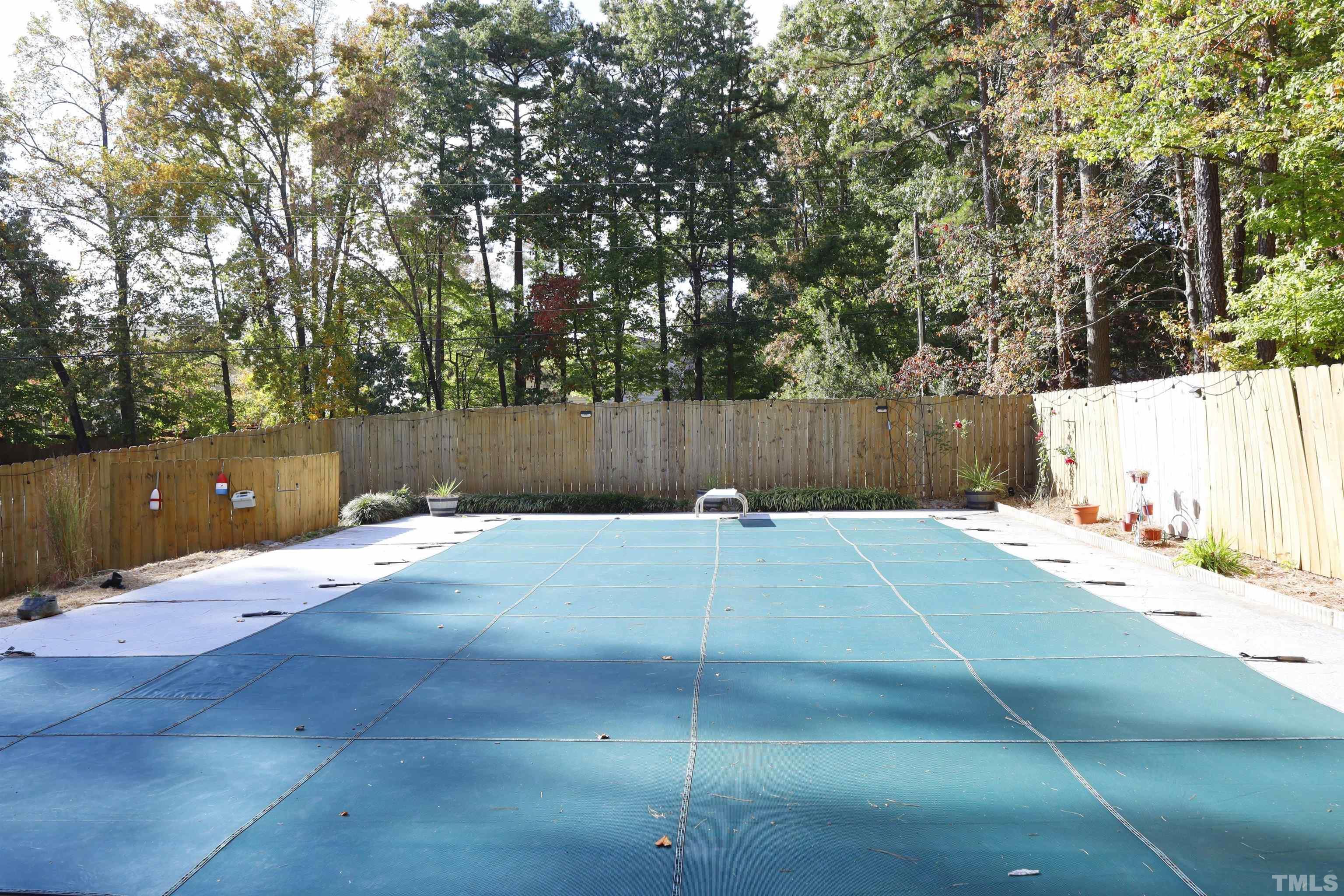 5308 Country Trail Raleigh, NC 27613 - Photo 47 of 51 a view of backyard and tree