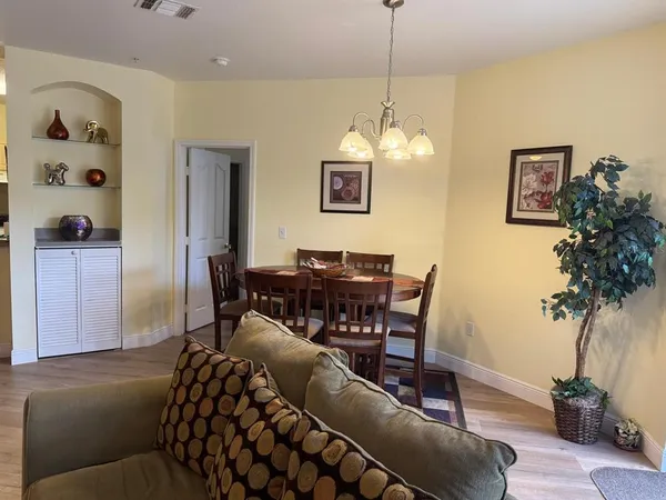a living room with furniture a potted plant and a lamp