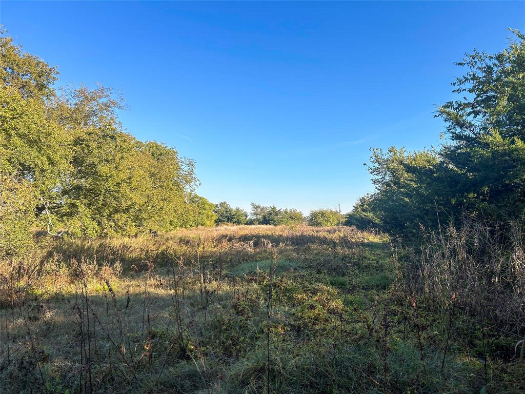 112 Hill Ranch Road Celeste, TX 75423 - Photo 26 of 29 a view of a field with a tree in the background