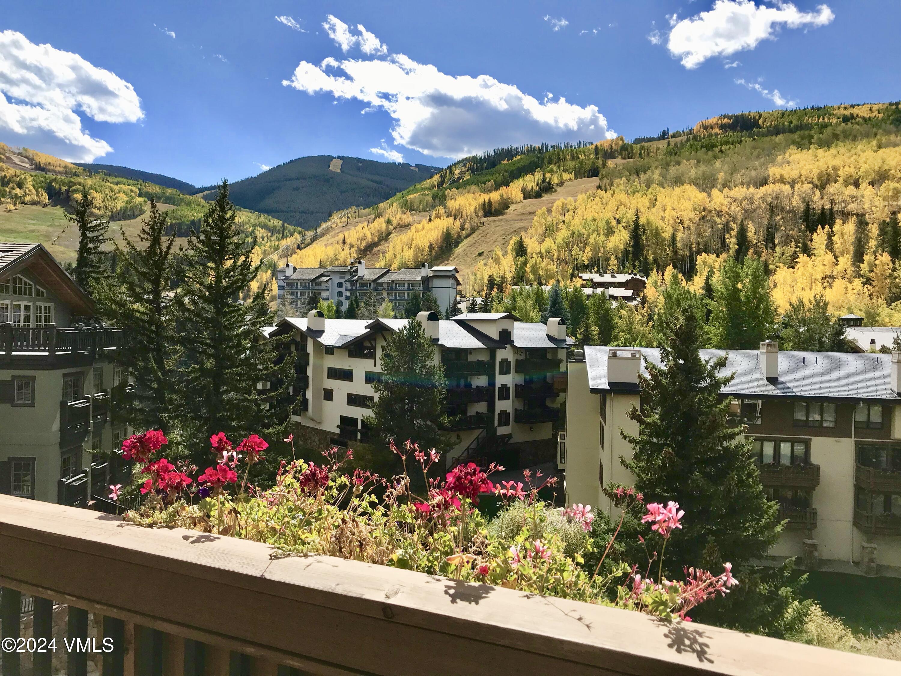 1 Willow Bridge Road, Unit 31 Vail, CO 81657 - Photo 34 of 39 a view of a flower