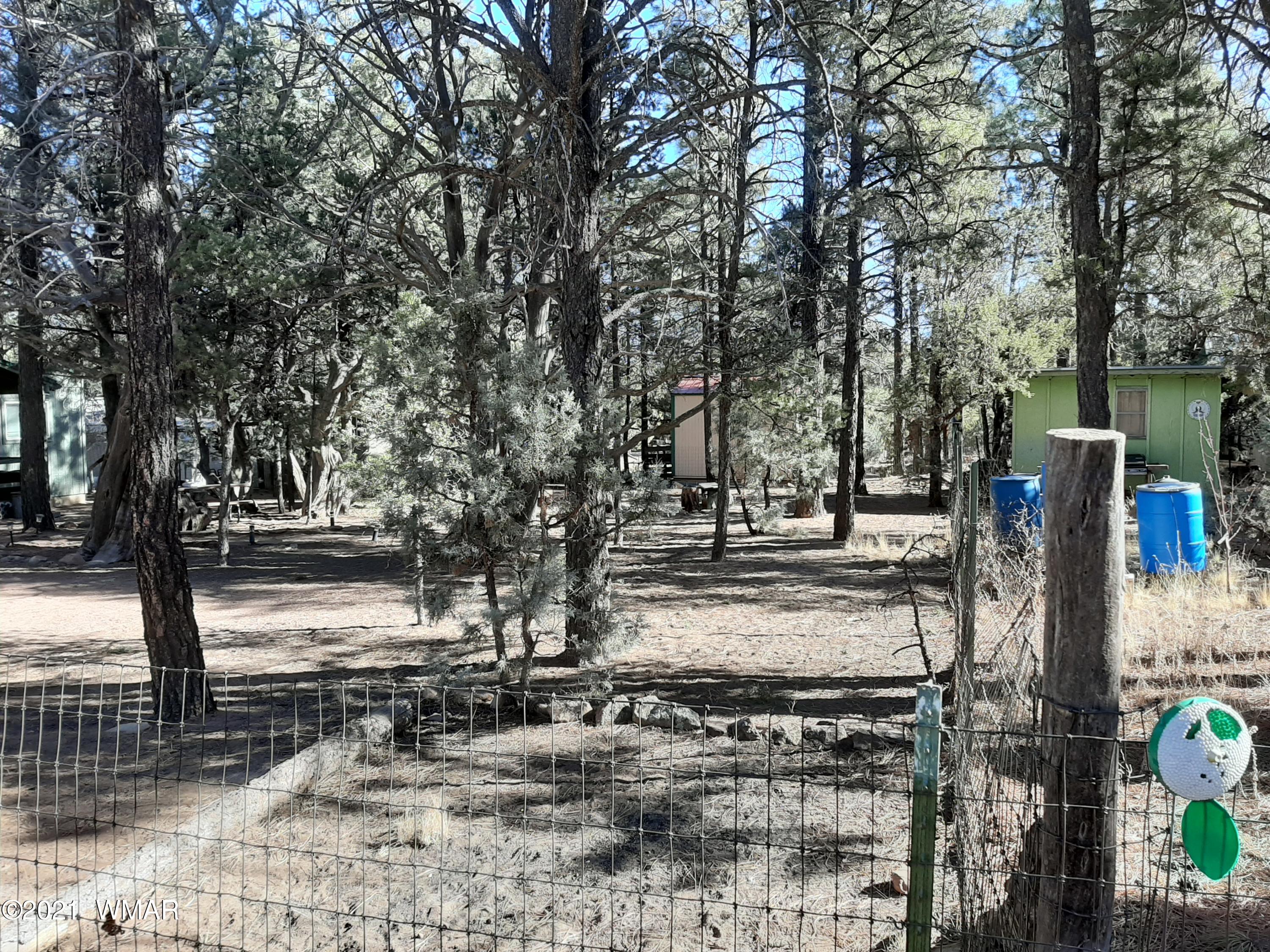 2891 Center Road Overgaard, AZ 85933 - Photo 22 of 26