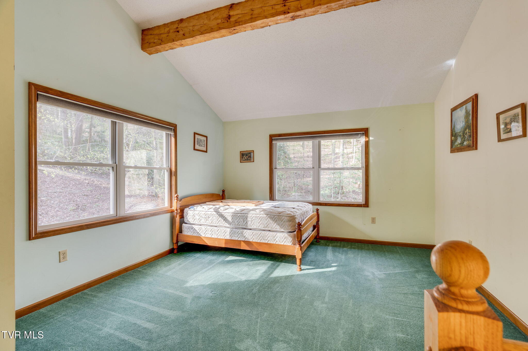 1072 Lower Paint Creek Road Greeneville, TN 37743 - Photo 21 of 37 020