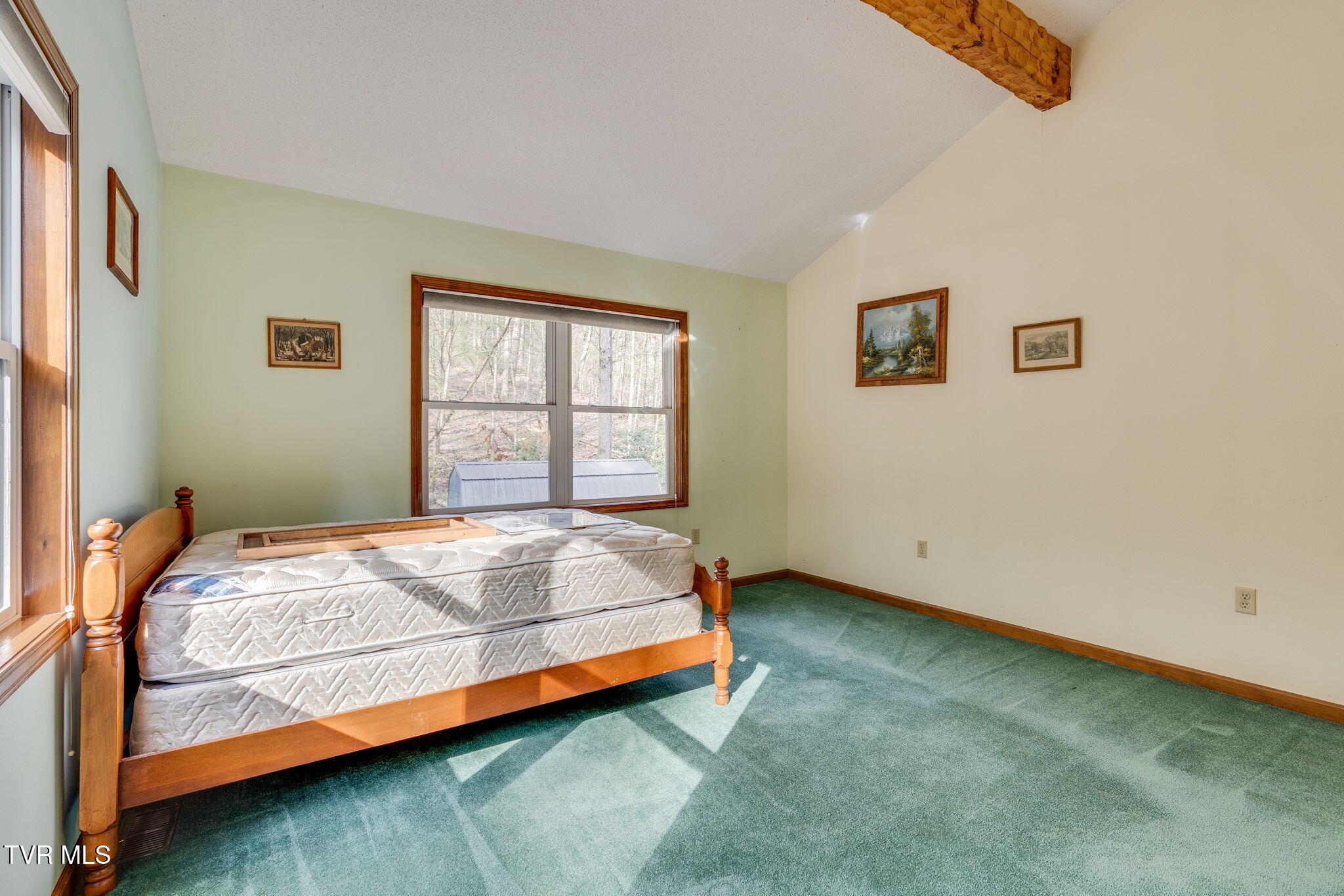 1072 Lower Paint Creek Road Greeneville, TN 37743 - Photo 23 of 37 022