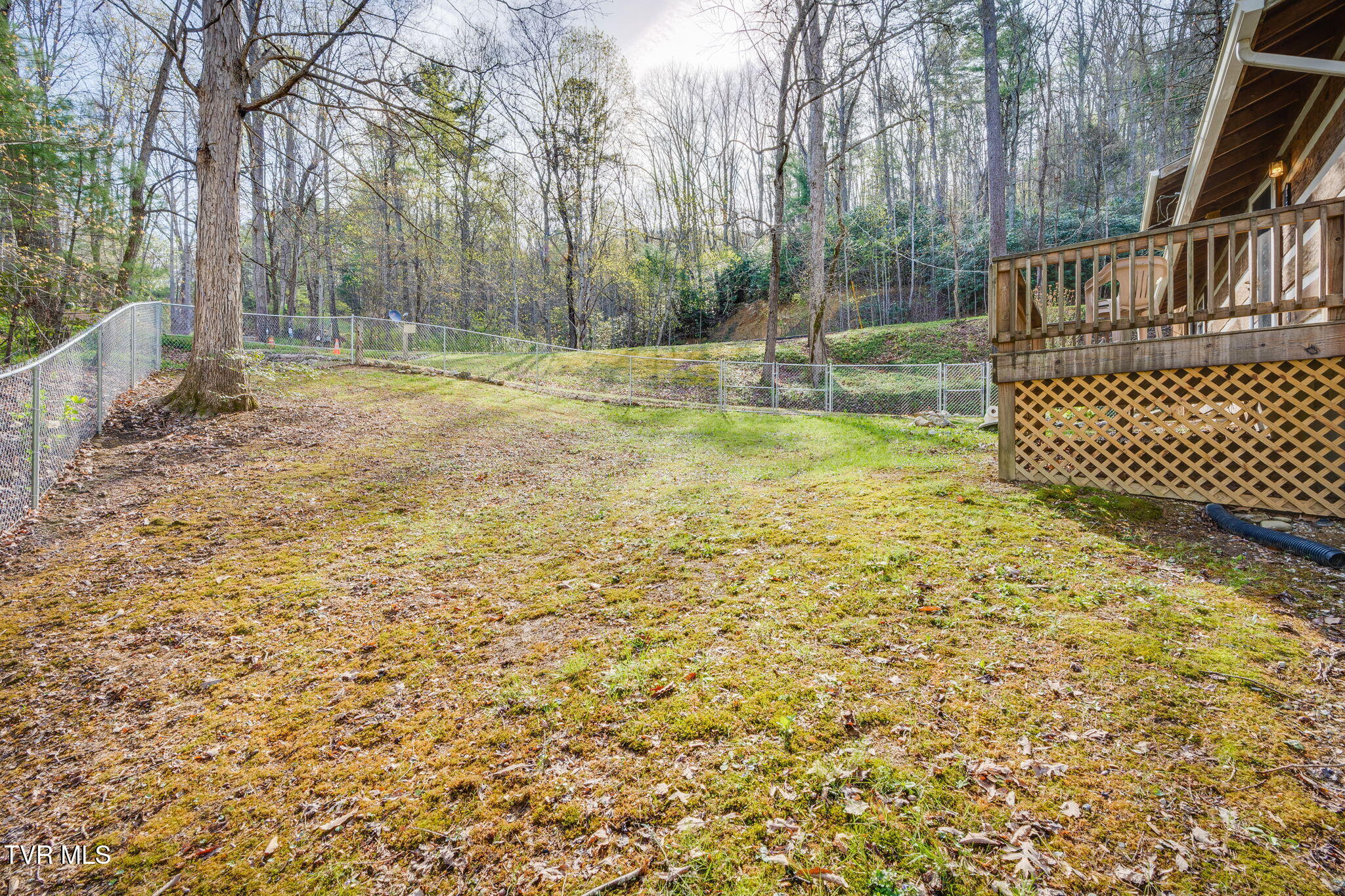 1072 Lower Paint Creek Road Greeneville, TN 37743 - Photo 28 of 37 027