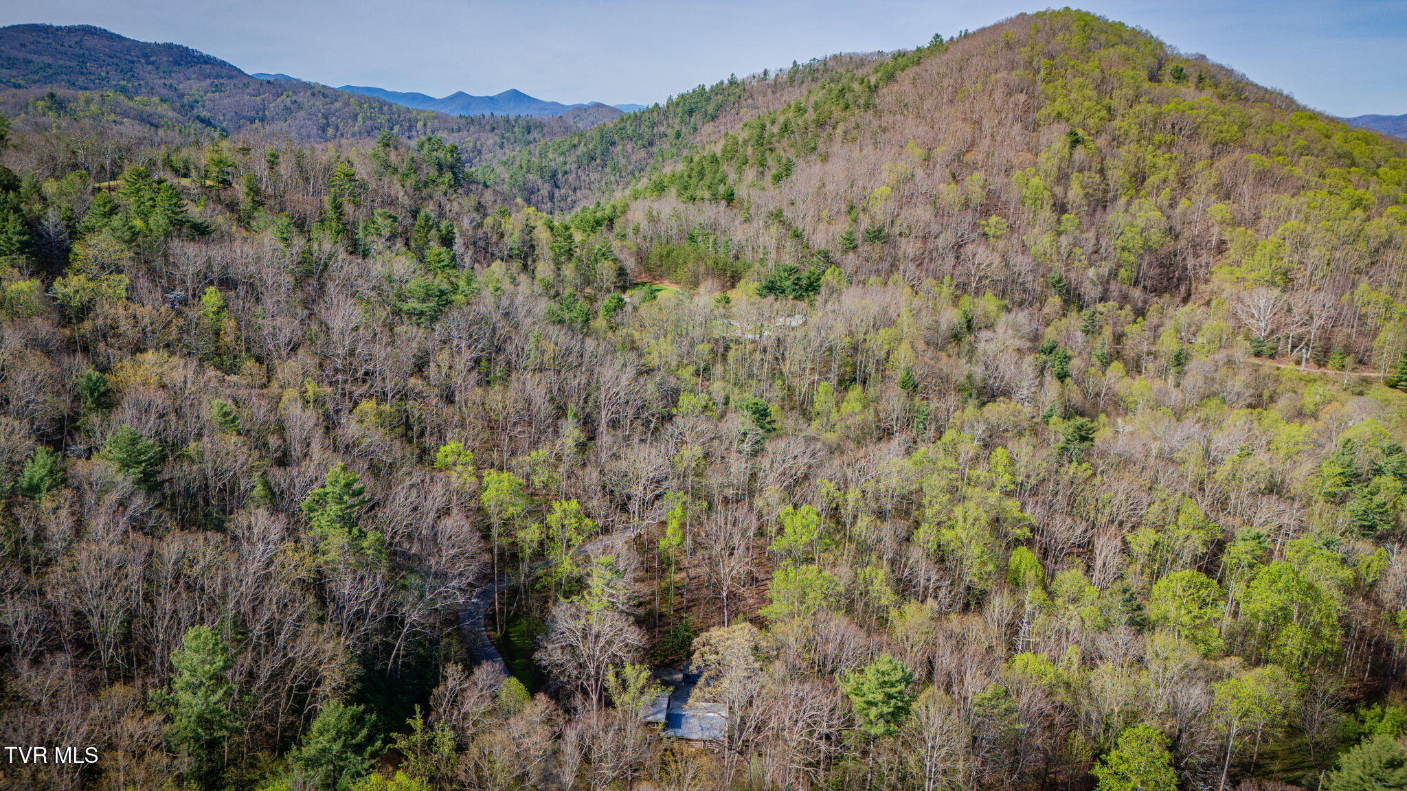1072 Lower Paint Creek Road Greeneville, TN 37743 - Photo 33 of 37 102