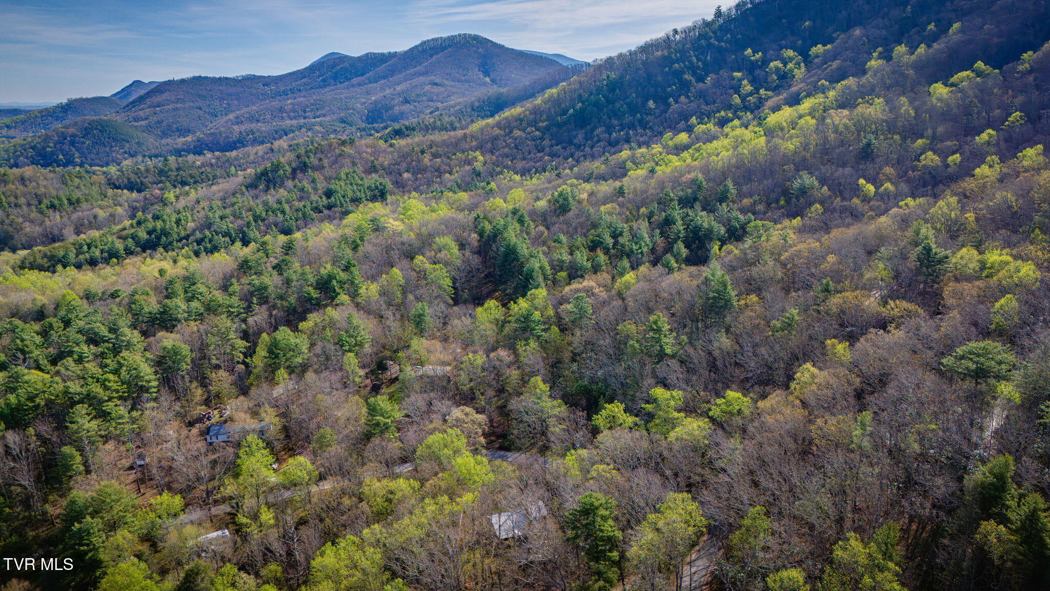 1072 Lower Paint Creek Road Greeneville, TN 37743 - Photo 35 of 37 104