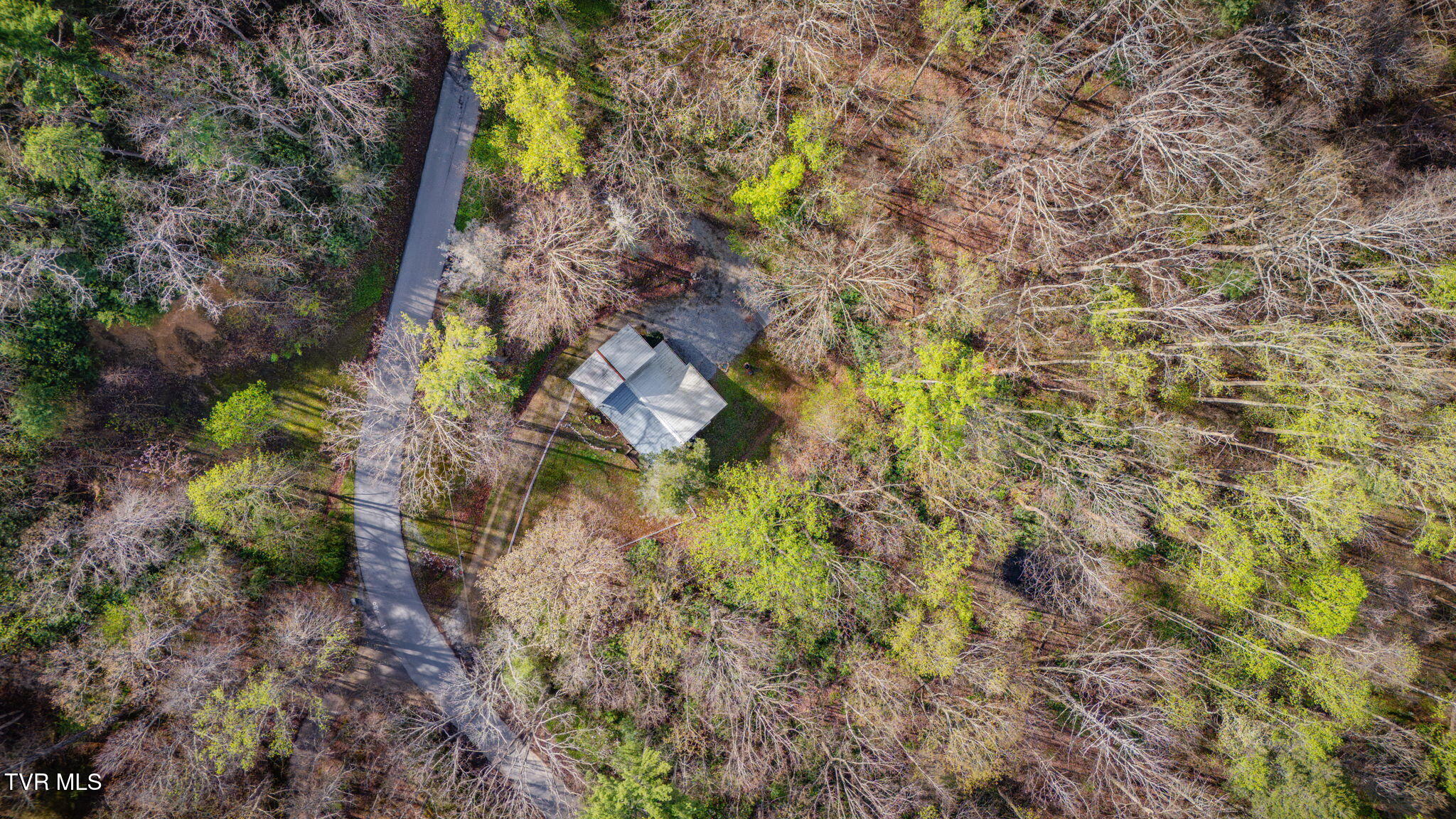 1072 Lower Paint Creek Road Greeneville, TN 37743 - Photo 36 of 37 105