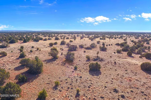 a view of a big yard with lots of green space