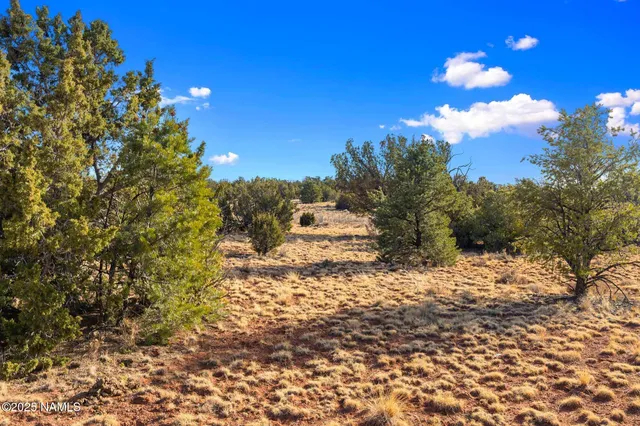 $39,000 | 8755 Hawkeye Circle, Unit LOT C, Williams, AZ 86046